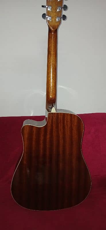 Ibanez Acoustic Guitar (Rs. 40000) 5