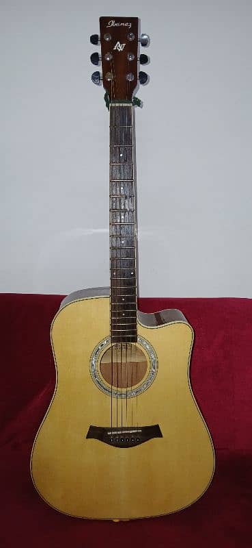 Ibanez Acoustic Guitar (Rs. 40000) 7