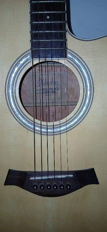 Ibanez Acoustic Guitar (Rs. 40000) 10