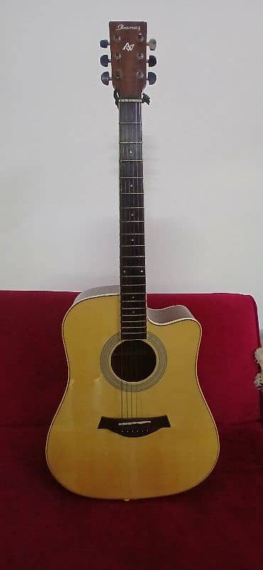 Ibanez Acoustic Guitar (Rs. 40000) 12