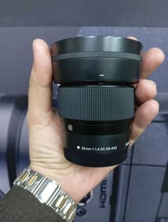 sigma lanz 56mm