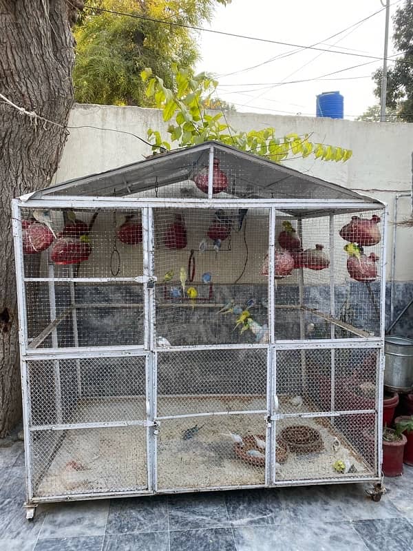 birds Cage for sale 0