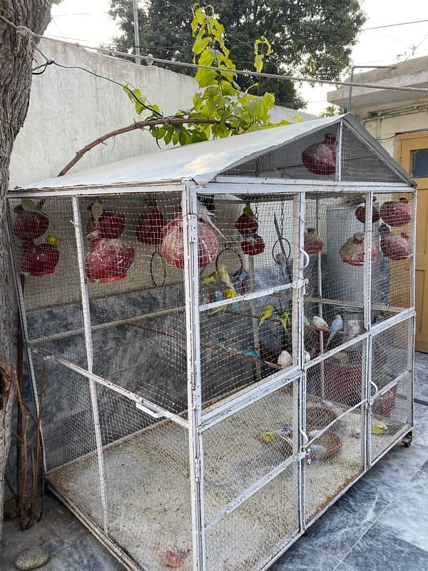 birds Cage for sale 1