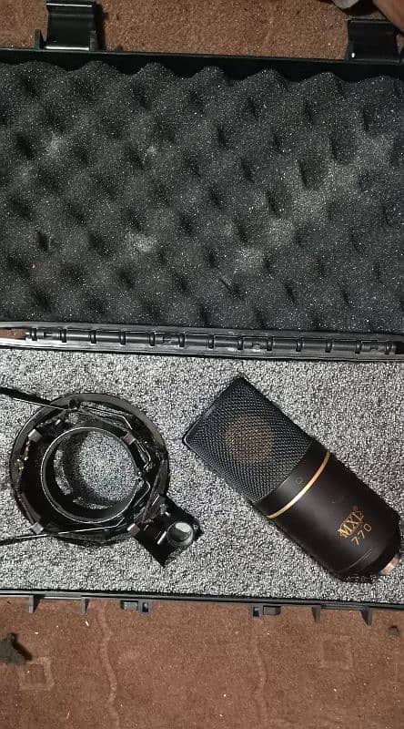 MXL 770 Studio Microphone 1