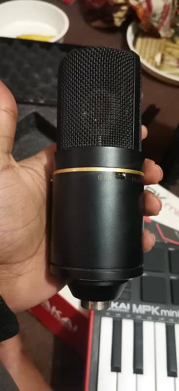 MXL 770 Studio Microphone 4