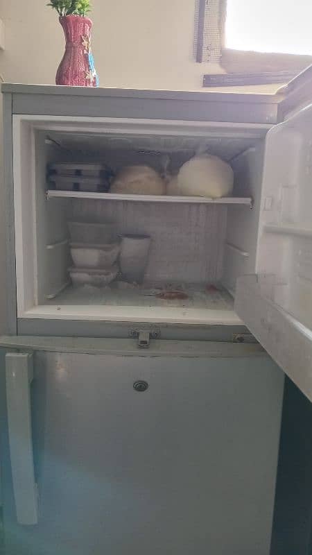 PEL refrigerator 1