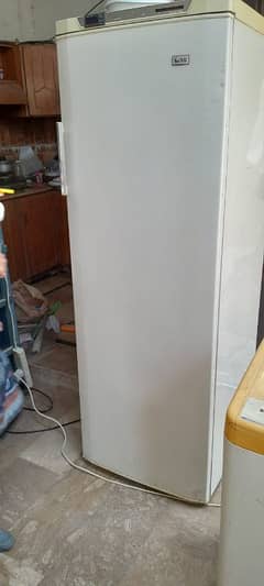 upright/vertical branded SG freezer at low cost