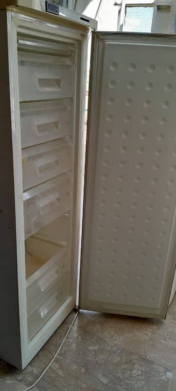 upright/vertical branded SG freezer at low cost 1