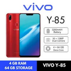 vivo