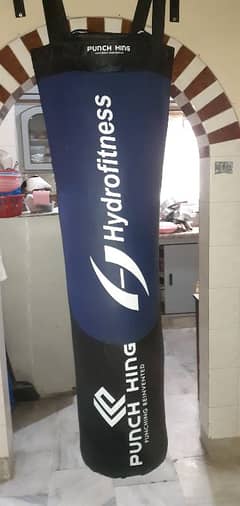 5 Ft Boxing bag