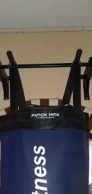 5 Ft Boxing bag 2