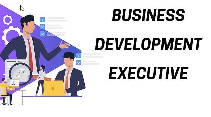 Business Development Executive 0