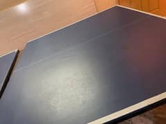 Table Tennis table