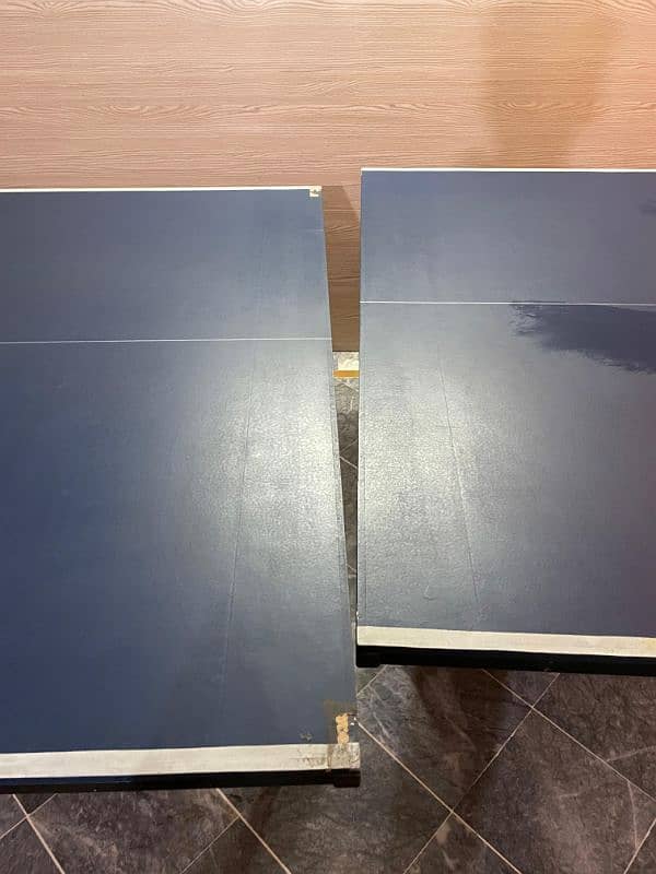 Table Tennis table 2