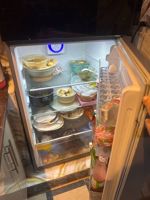 Large Fridge 3