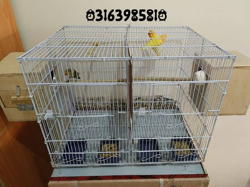 Complete Lovebird Setup for Sell 2