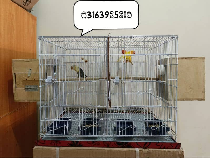 Complete Lovebird Setup for Sell 3