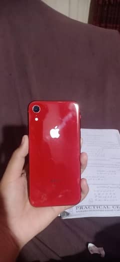 iPhone XR