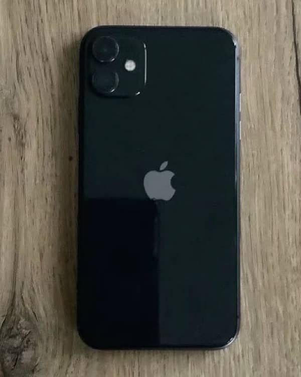 IPhone 11 0