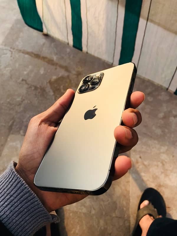 iPhone 12 pro max 256GB dual PTA approved 1