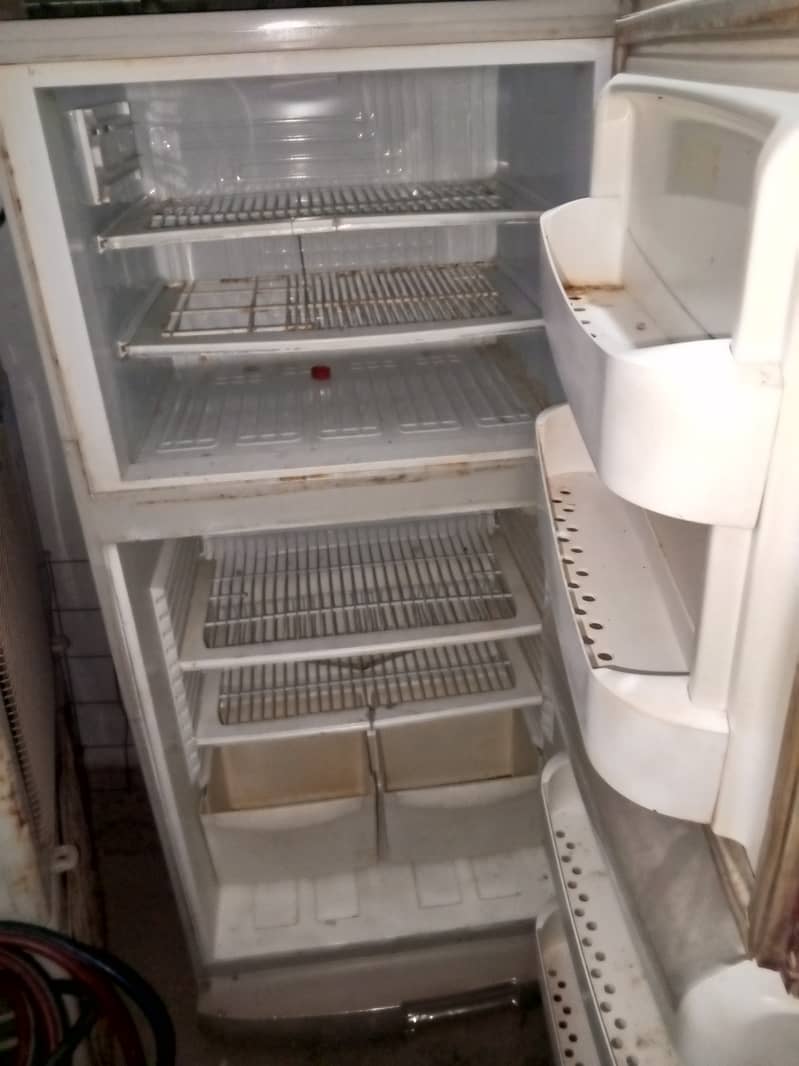 Pel medium size fridge 2