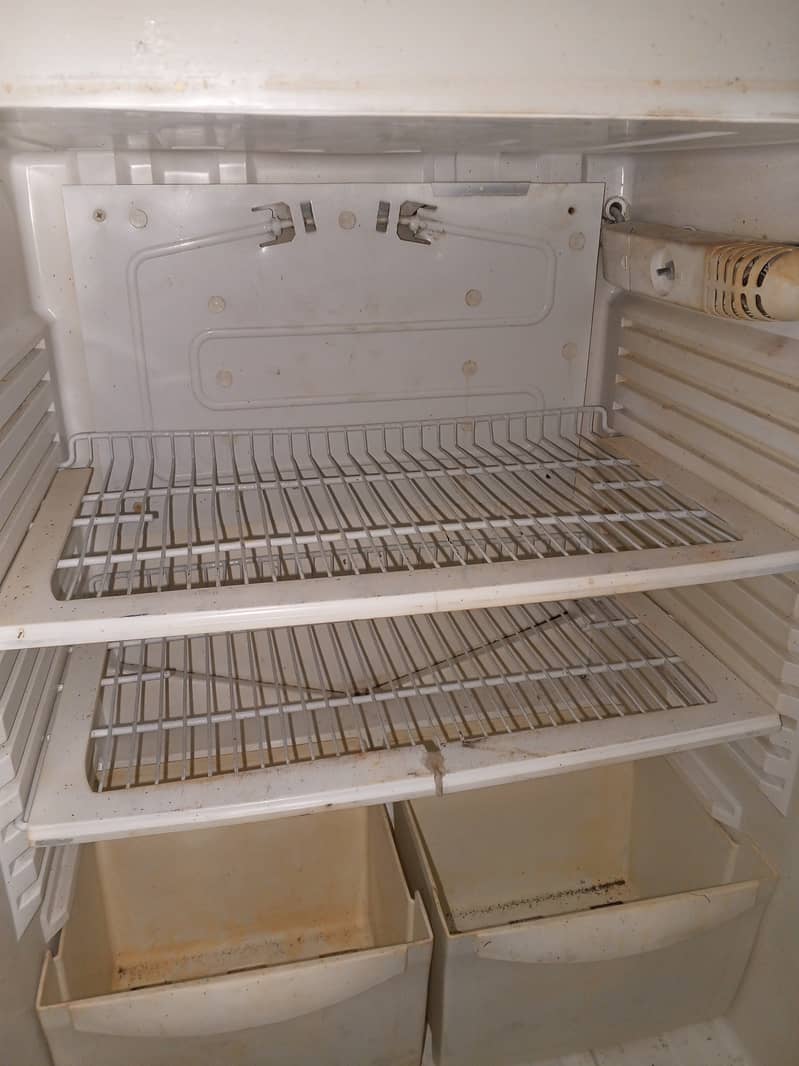 Pel medium size fridge 3