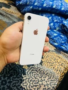 iPhone XR