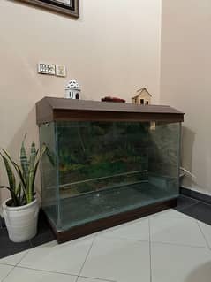 aquarium