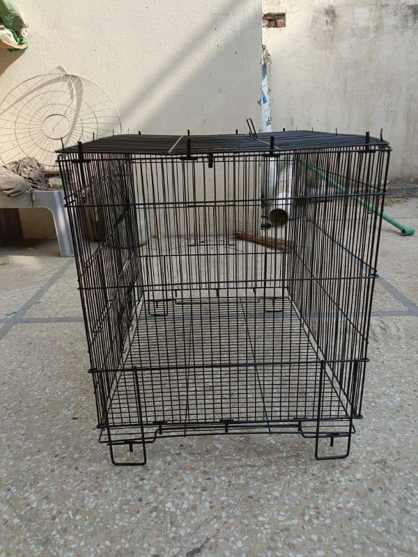 cage length 2 feet widgth 1.5 feet cage height 1.5 feet 0