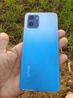 vivo