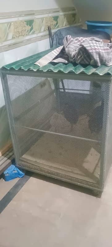 hen cage 1