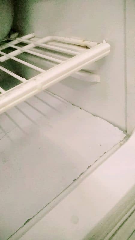 pell refrigerator 7