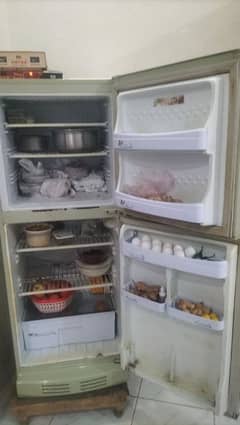 pel fridge