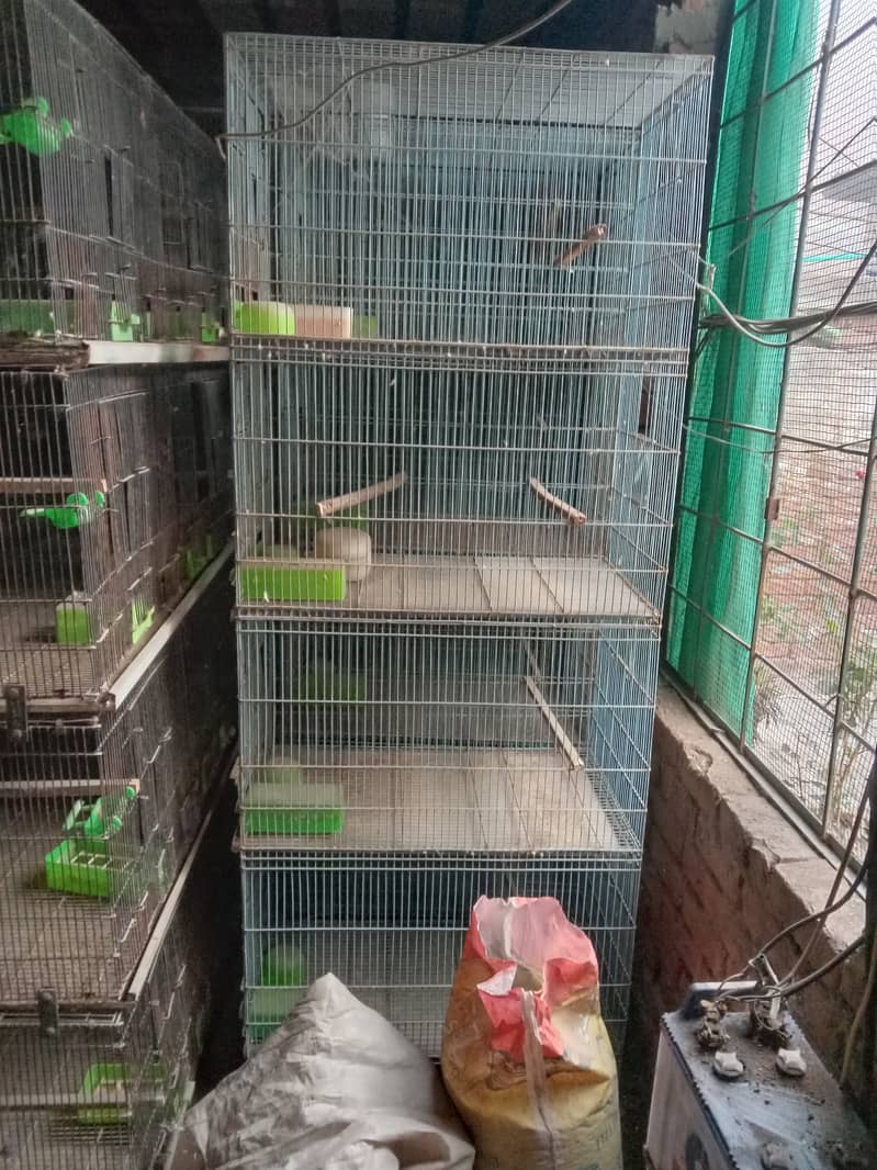 Birds Cage 1