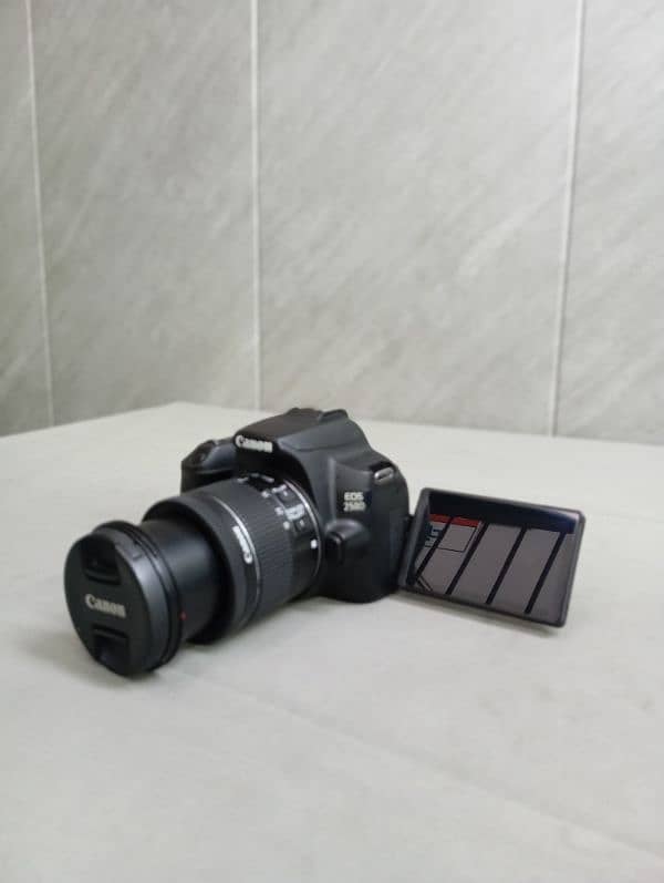 canon EOS 250D 2