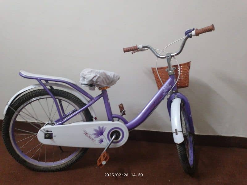 Almost New Purple Girls' Cycle – Excellent Condition 2