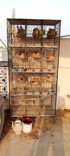 Cage For Sale