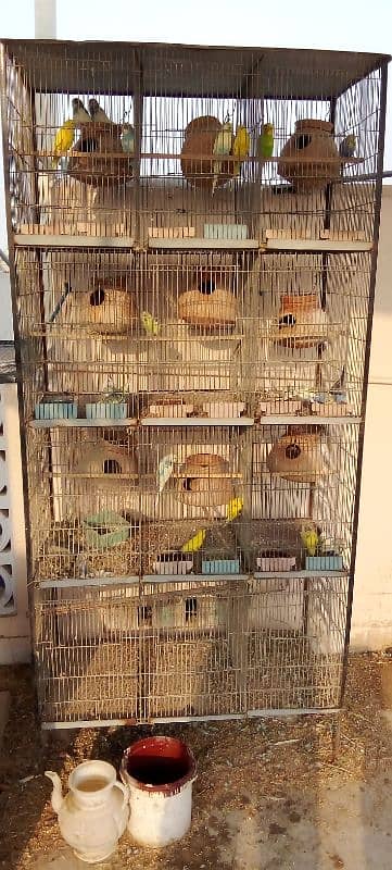 Cage For Sale 1