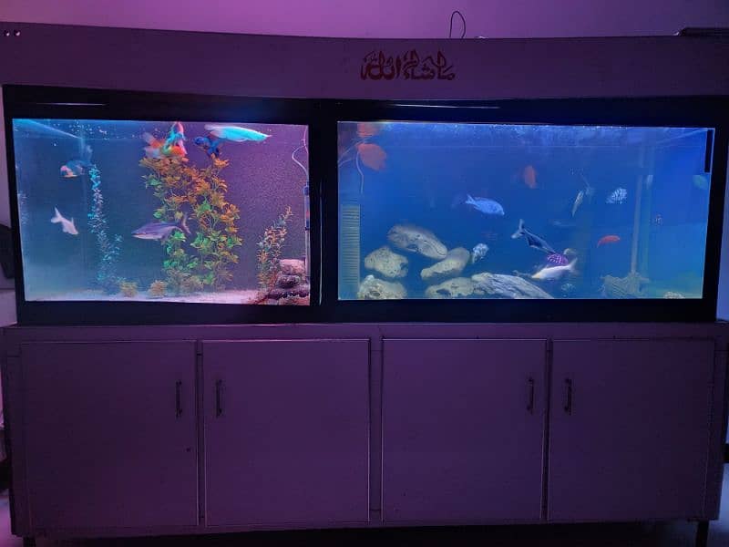 big size aquarium 0