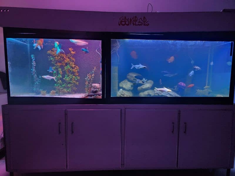 big size aquarium 1