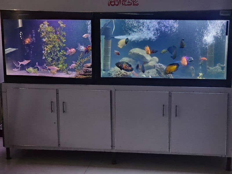 big size aquarium 4