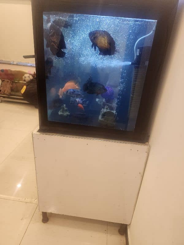 big size aquarium 14