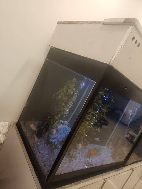 big size aquarium 15