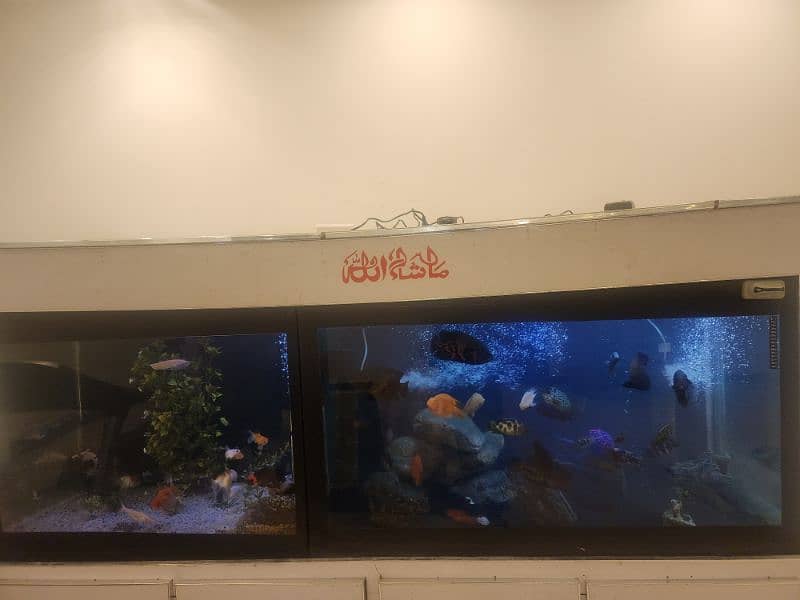 big size aquarium 16