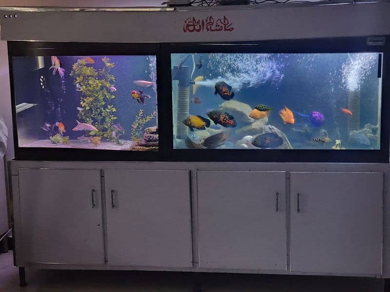 big size aquarium 18