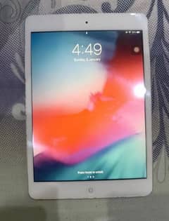 ipad mini 2