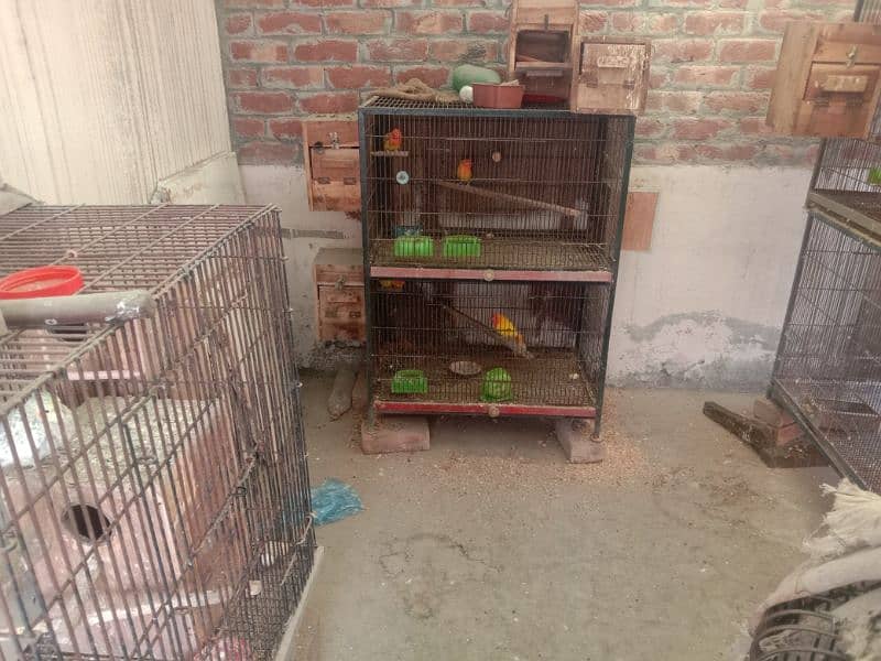 cages available in used good condition 1