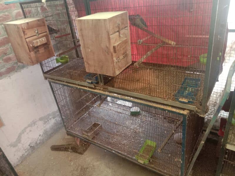 cages available in used good condition 2