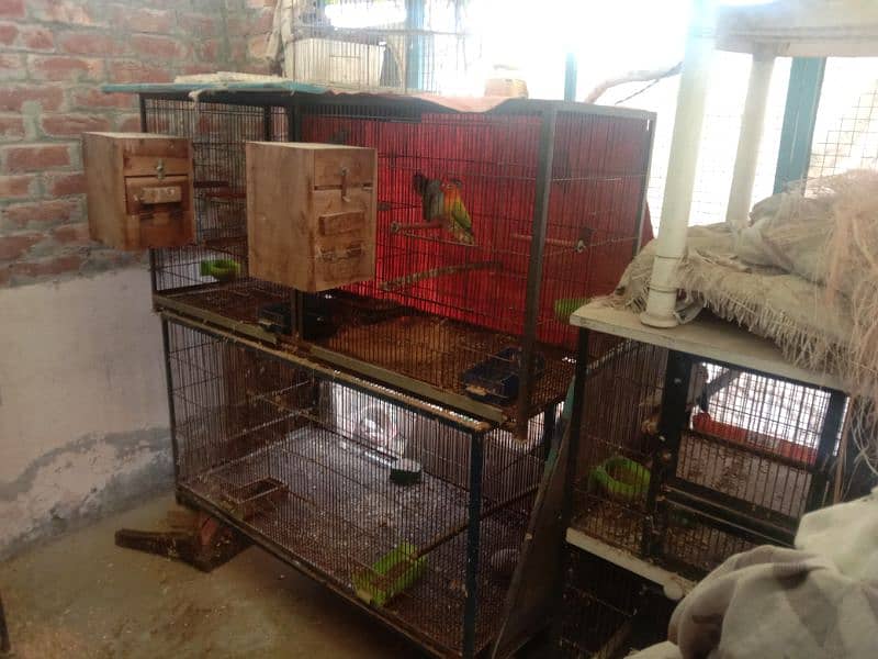 cages available in used good condition 5