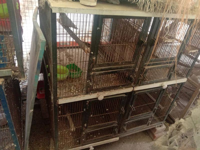 cages available in used good condition 6